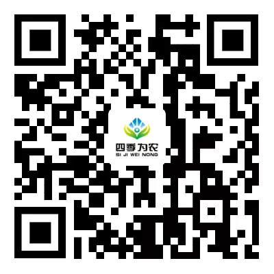 微信公众号