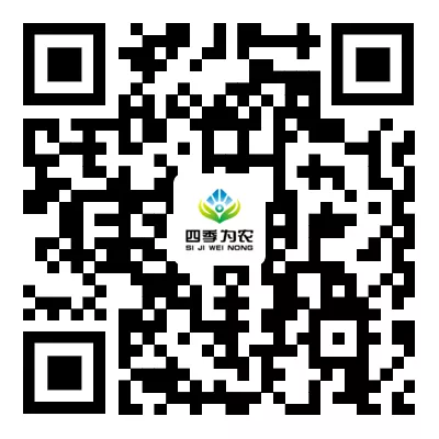 用户投保